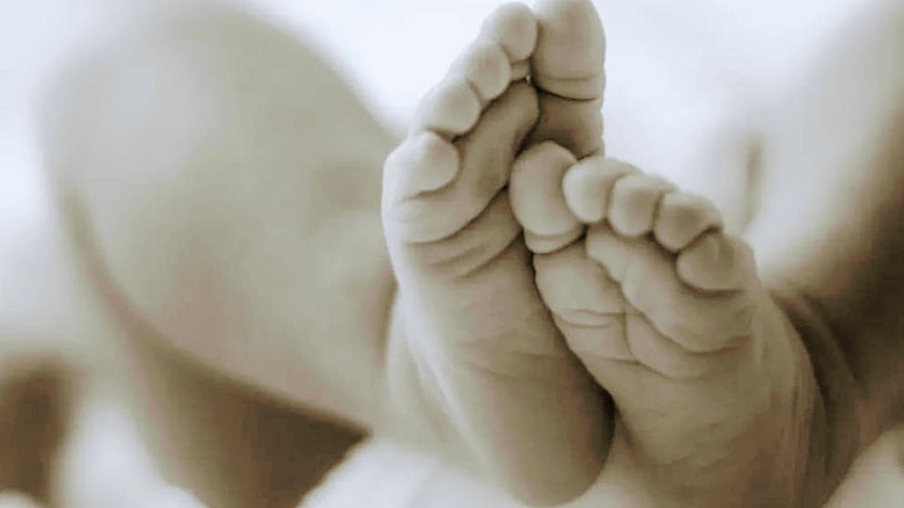 Lisa Matthews - Dandelion Moon - Reflexology - HRP | 12 Elgin St E, Cobourg, ON K9A 0C5, Canada | Phone: (289) 404-0493