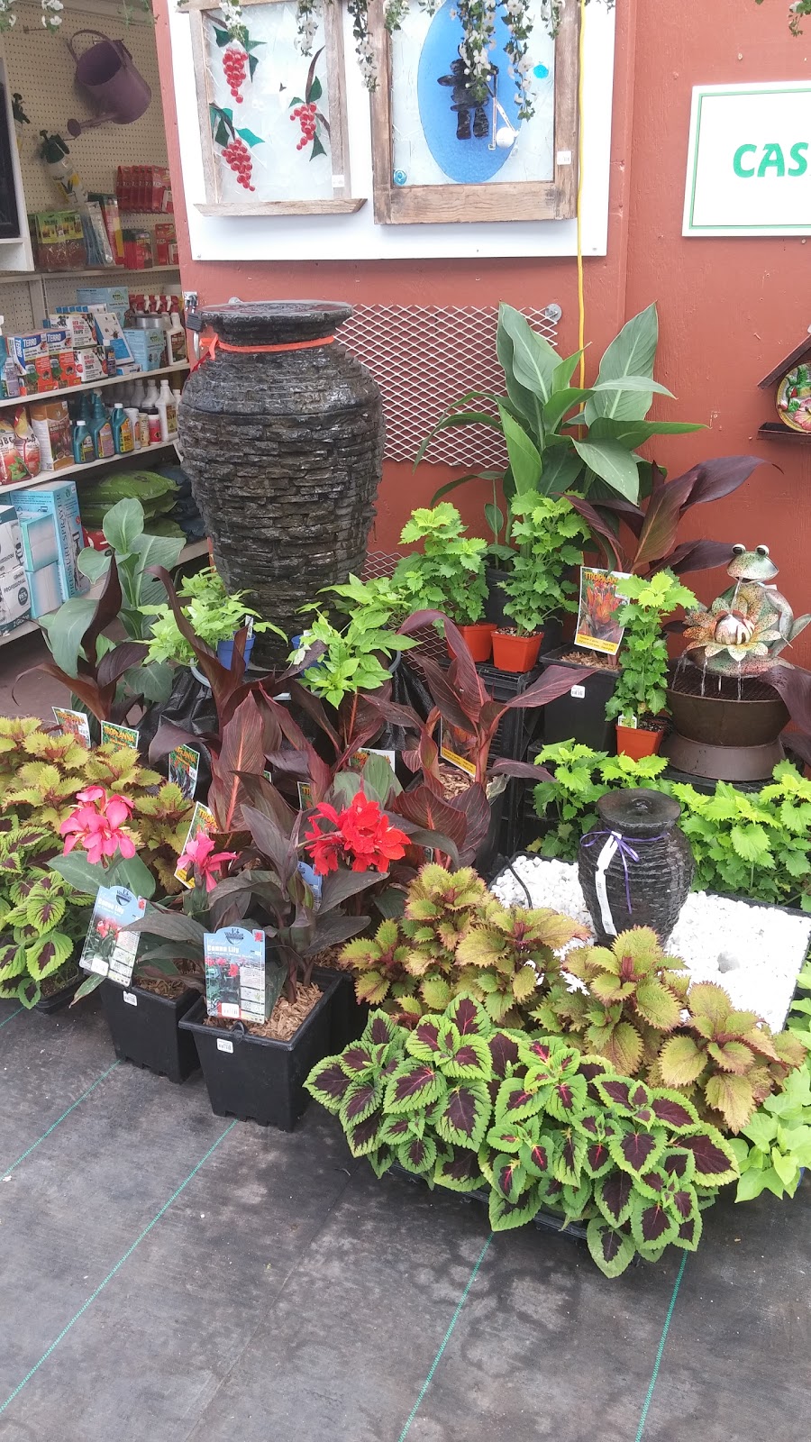 Azilda Greenhouses | 300 Carriere St, Azilda, ON P0M 1B0, Canada | Phone: (705) 983-5252