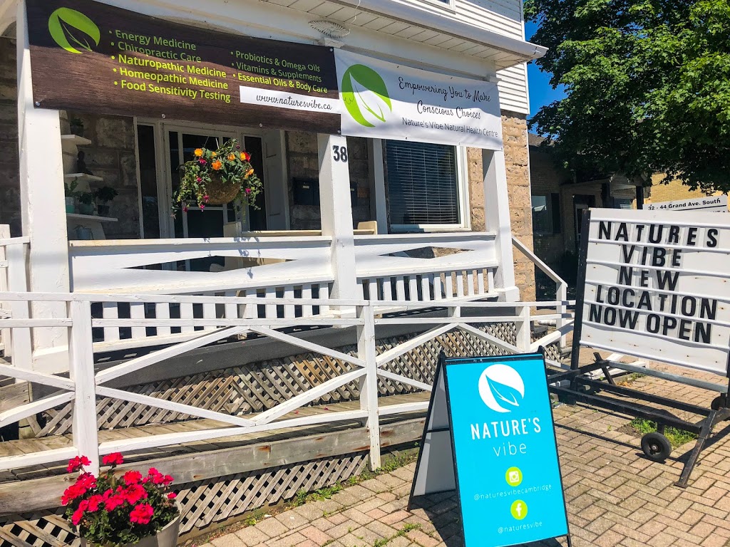 Natures Vibe Natural Health Clinic | 38 Grand Ave S, Cambridge, ON N1S 2L6, Canada | Phone: (519) 622-0770