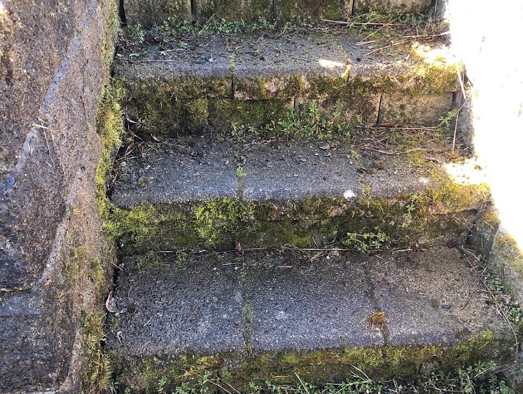 Wash Away Pressure Washing Co | 6121 Lane Rd, Duncan, BC V9L 4E2, Canada | Phone: (250) 710-1844