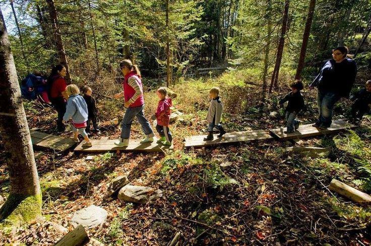 Kids Inc Camp | 5567 Fourth Line, Hillsburgh, ON N0B 1Z0, Canada | Phone: (519) 855-6074