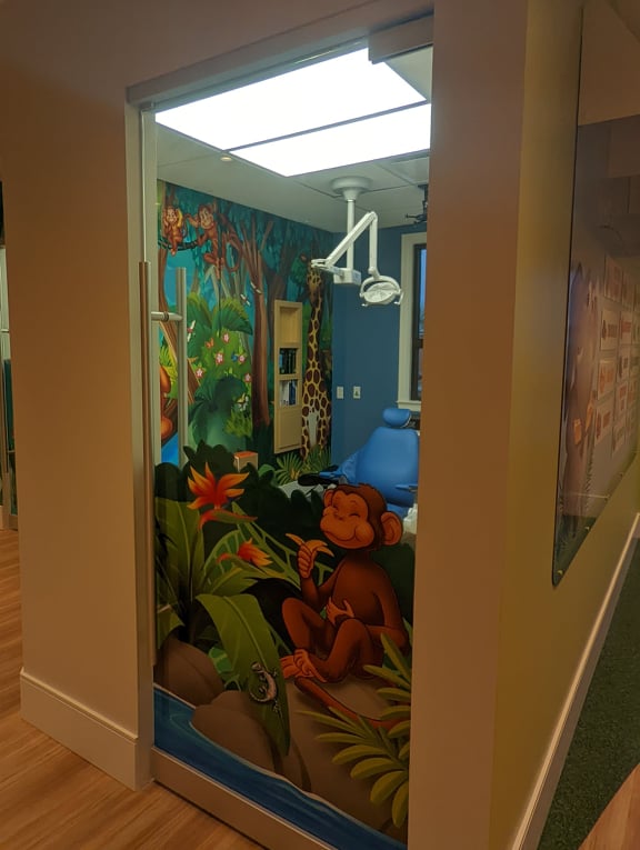 Safari Childrens Dentistry | 80 King St E, Stoney Creek, ON L8G 1K2, Canada | Phone: (905) 331-3031