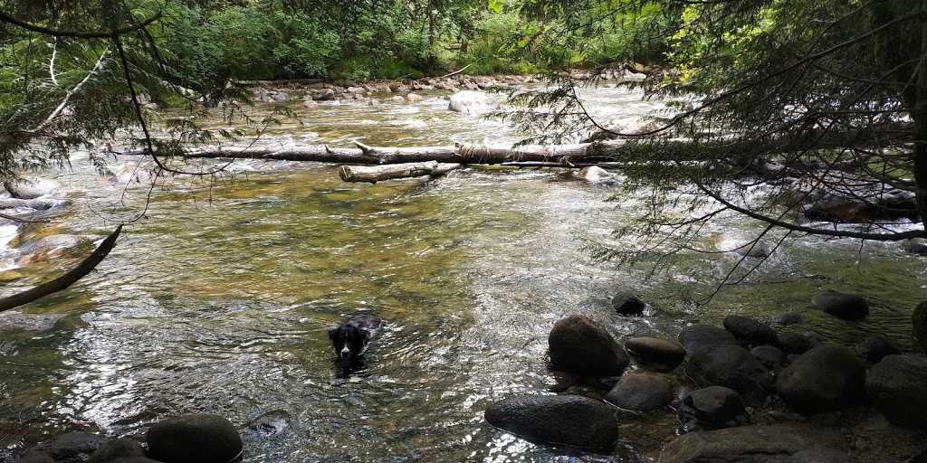 Robson Park | 1420 Pinetree Way, Coquitlam, BC V3E 6A3, Canada | Phone: (604) 927-3000