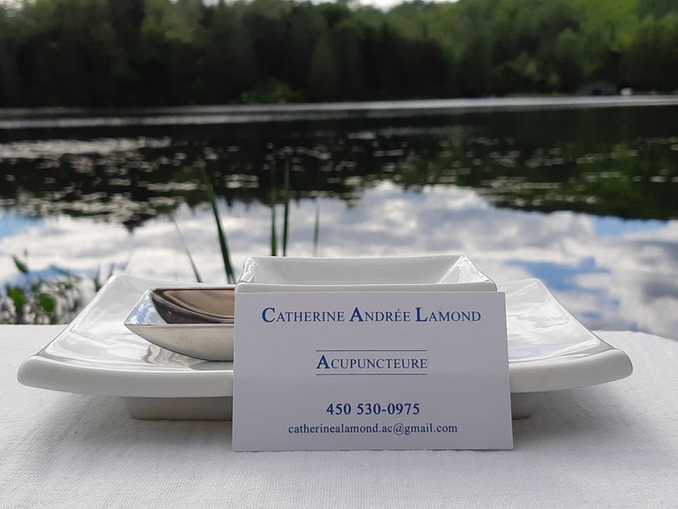 Catherine Andrée Lamond, Acupuncteure | 563 Chemin du Village, Morin-Heights, QC J0R 1H0, Canada | Phone: (450) 530-0975
