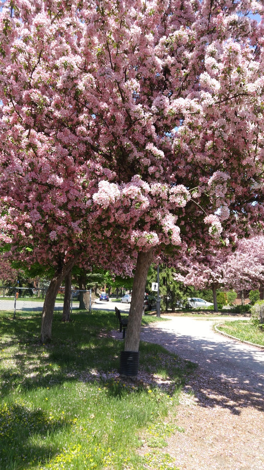 Parc André-Cailloux | 6789 Bd Perras, Montréal, QC H1E 5N9, Canada | Phone: (514) 872-3434