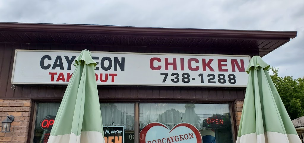 Caygeon Take Out | 36 King St E, Bobcaygeon, ON K0M 1A0, Canada | Phone: (705) 738-1288