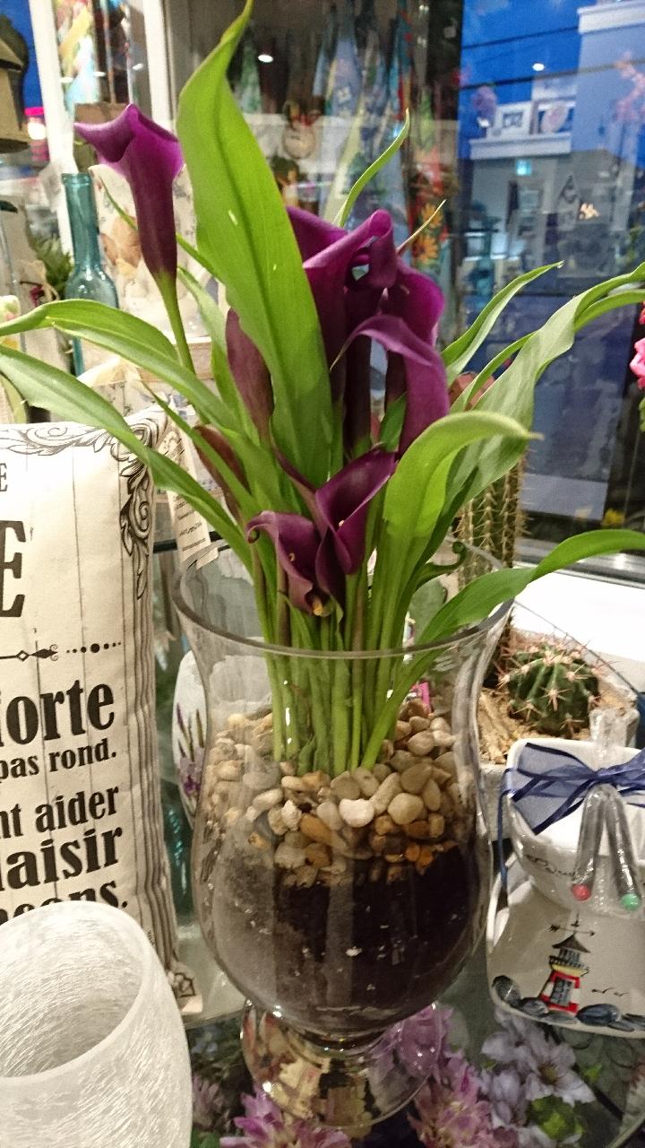 Isa Belles-Fleurs et Cadeaux | 1052 QC-112, Saint-Césaire, QC J0L 1T0, Canada | Phone: (450) 469-5656
