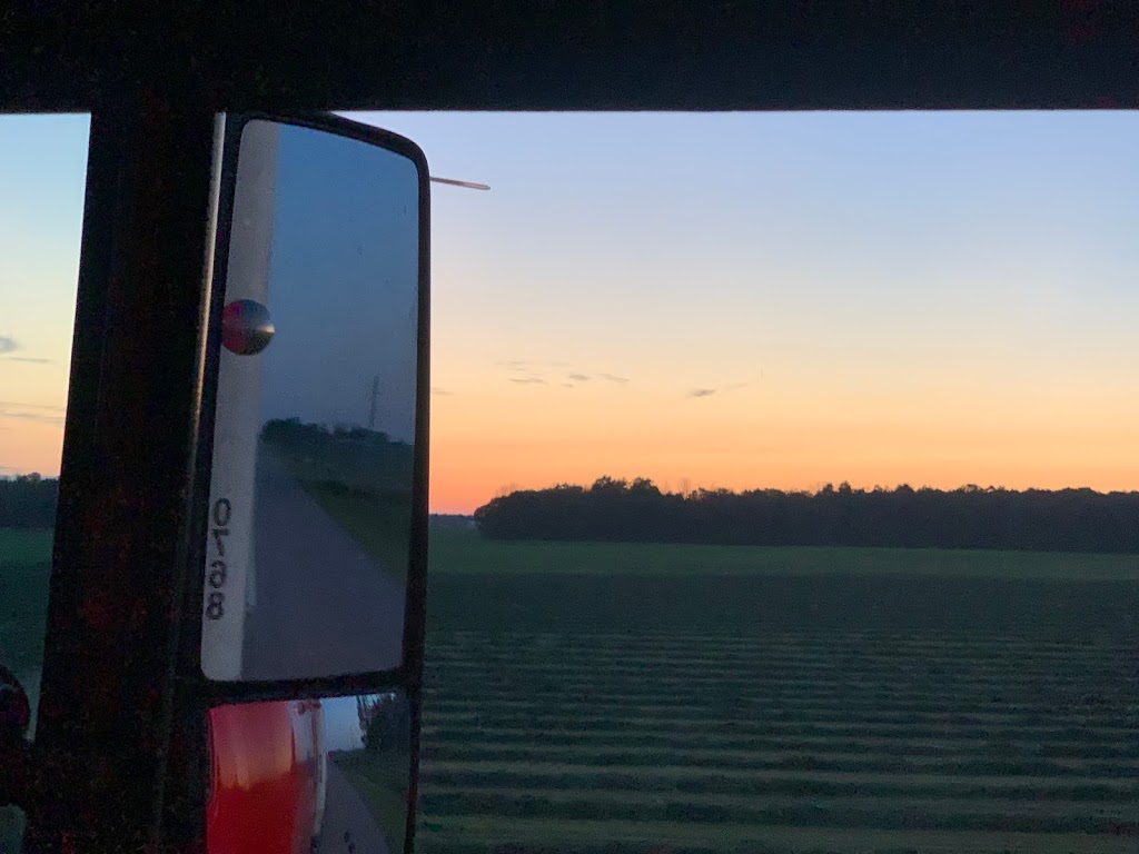 Thomsvue Farms | South Huron, ON N0M 1V0, Canada | Phone: (519) 229-6819