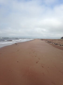 Central Coast Tourism Ltd | 591 Cawporer Ln, Hunter River, PE C0A 1N0, Canada | Phone: (902) 963-3613