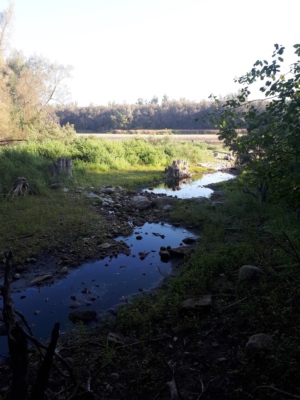 Hiking Trail | Conservation Rd, Guelph/Eramosa, ON N1H 6J1, Canada