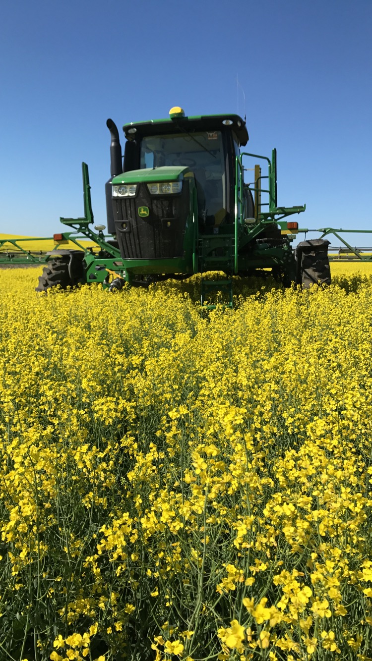 GJ Cattle & Crop Inc. | Box 117, Marquis, SK S0H 2X0, Canada | Phone: (306) 631-5639