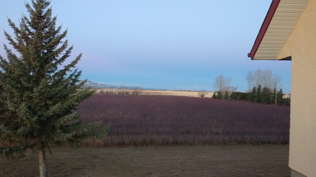 Prairie Berry YYC | 225036 RR 282, AB T1X 0H9, Canada | Phone: (403) 819-4664