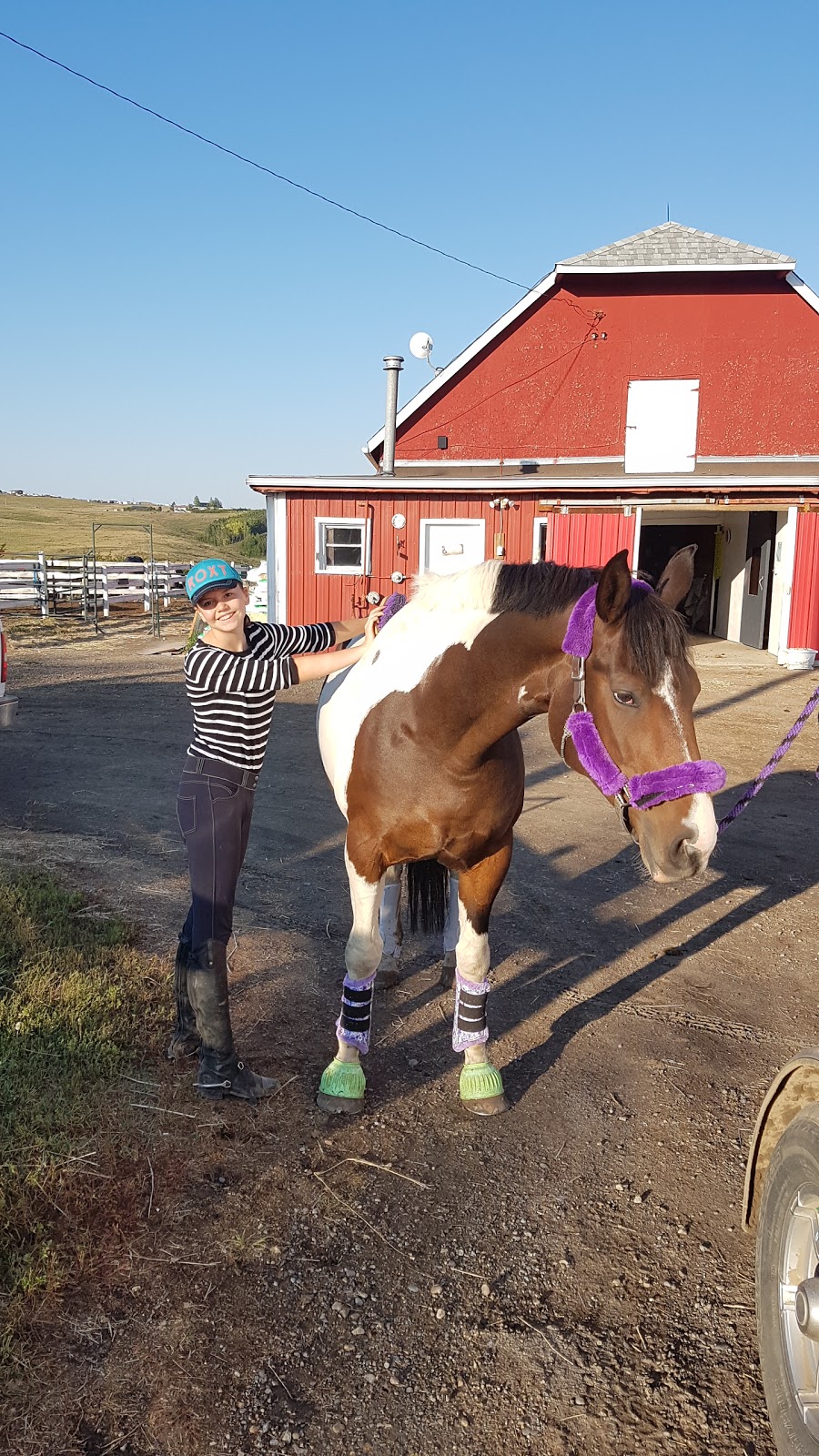 Horizon Equestrian Ctr | Range Rd 43, Cochrane, AB T4C 2J8, Canada | Phone: (403) 542-8677