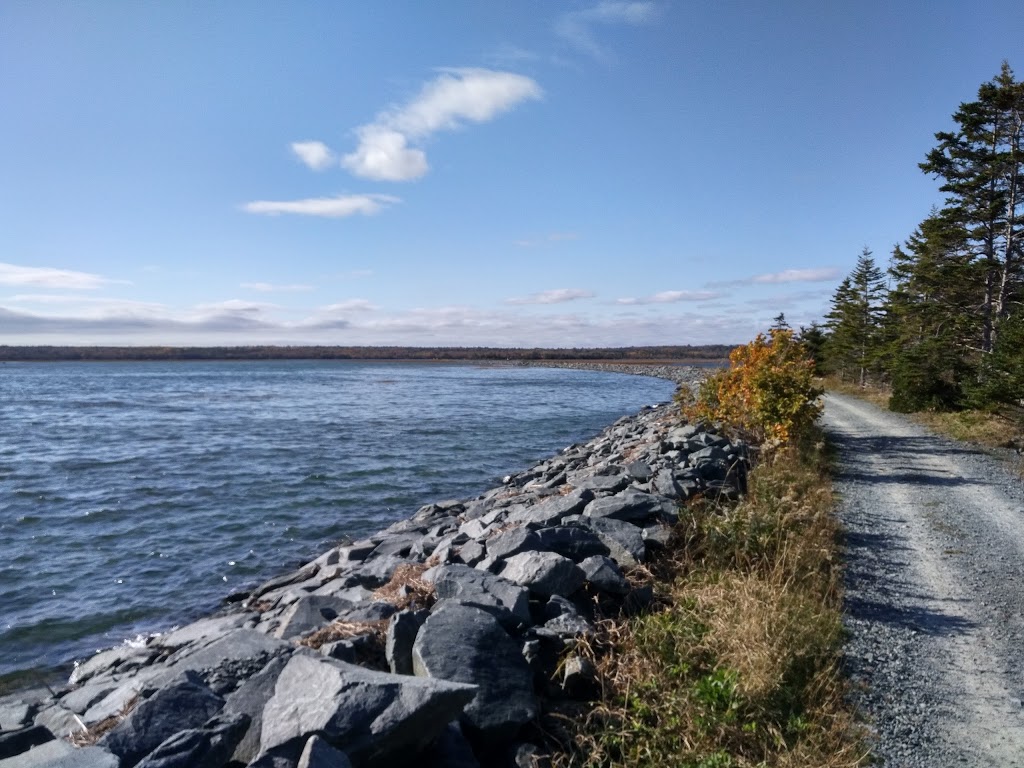 Salt Marsh Trail | Trans Canada Trial, Cole Harbour, NS B2V 2T2, Canada