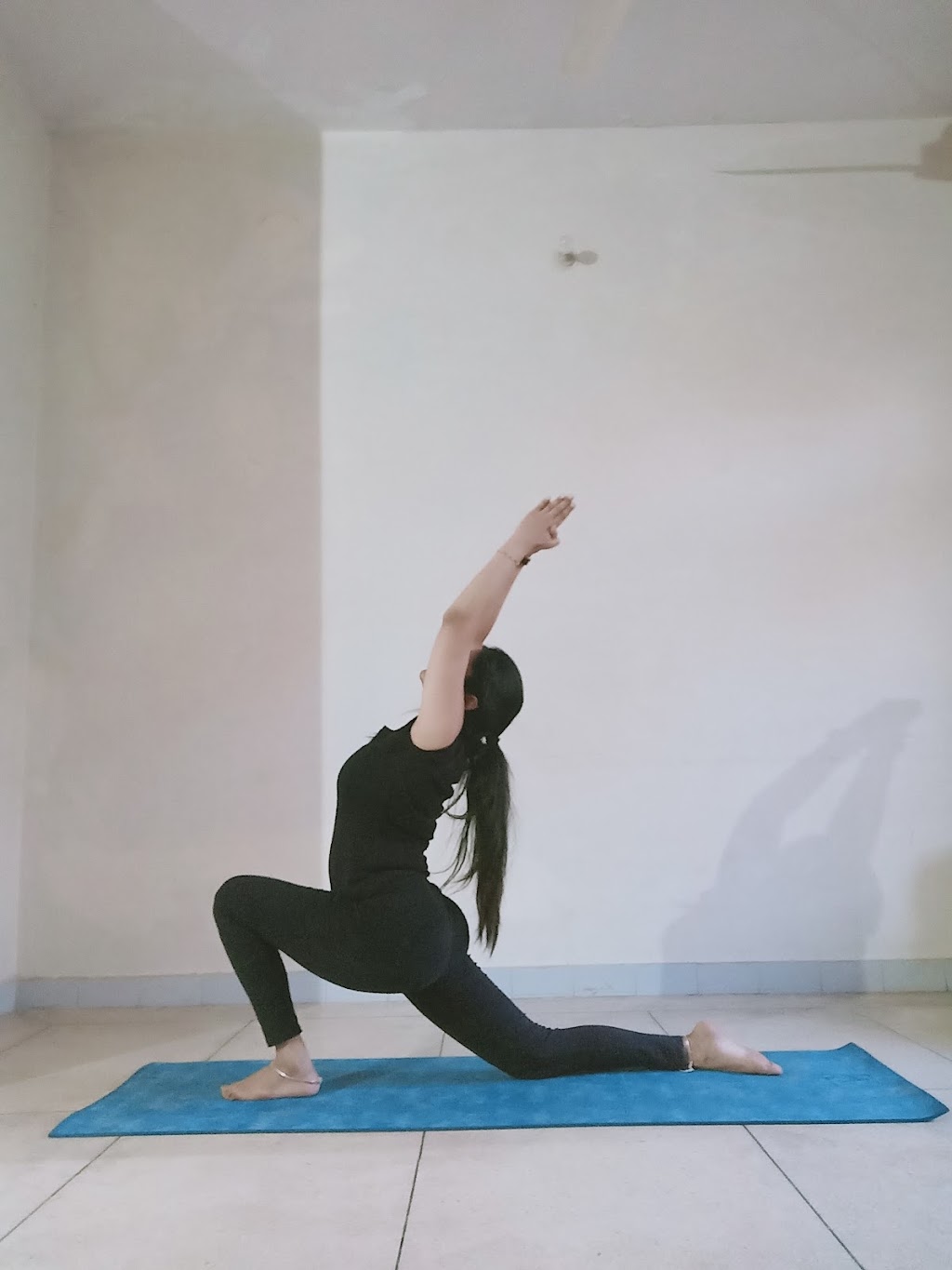Yoga Ministry Of Canada | 2464 Clearbrook Rd, Abbotsford, BC V2T 2X8, Canada | Phone: (204) 963-3674