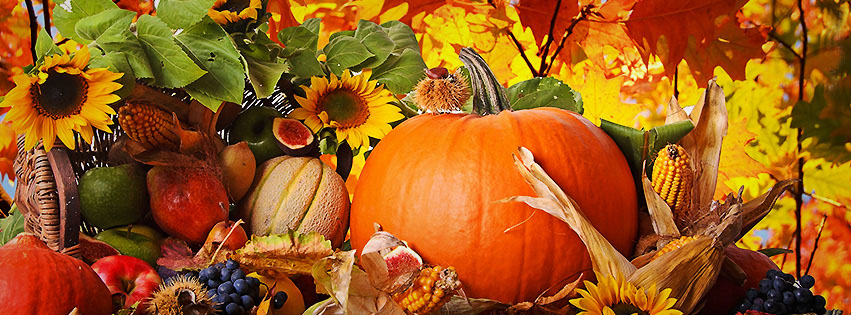 Orleans United Church | 1111 Orléans Blvd, Orléans, ON K1C 7C8, Canada | Phone: (613) 837-4321