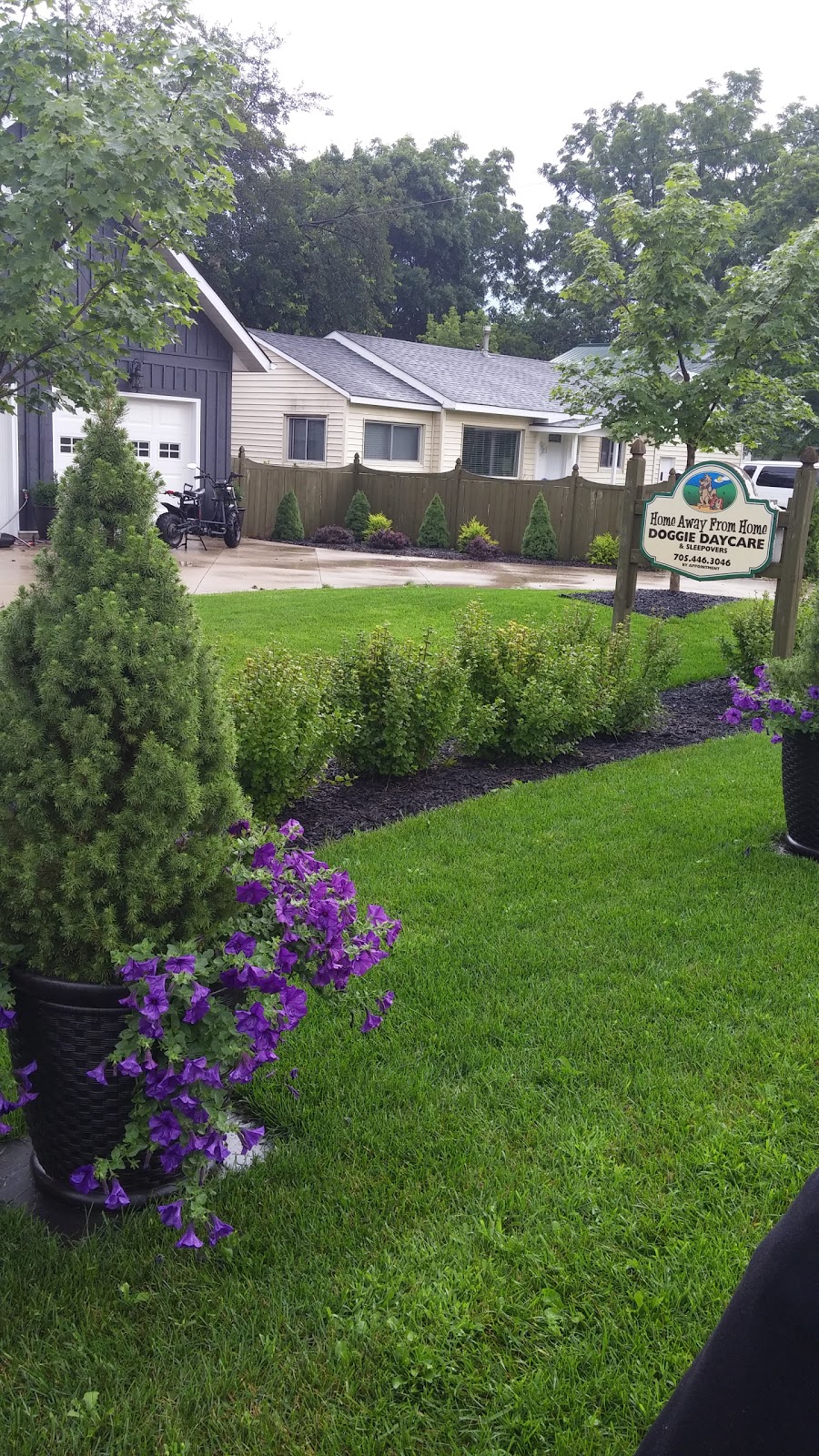 Home Away From Home Doggie Daycare | 4321 Simcoe County Rd 124, Collingwood, ON L9Y 3Z1, Canada | Phone: (705) 446-3046