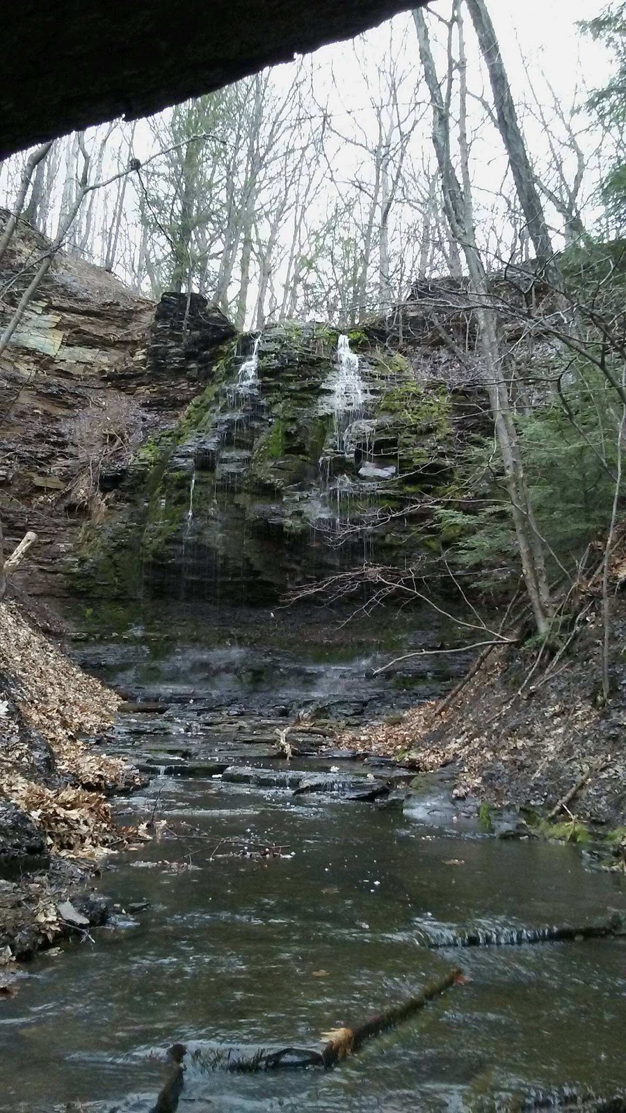 18 Mile Creek Park | 2600-2772 S Creek Rd, Hamburg, NY 14075, USA