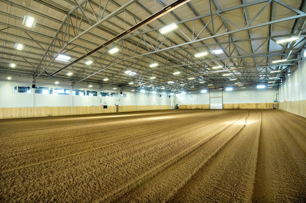 Prairie Mountain Ranch | 3245 Township Rd 292, Madden, AB T0M 1L0, Canada | Phone: (403) 946-0430