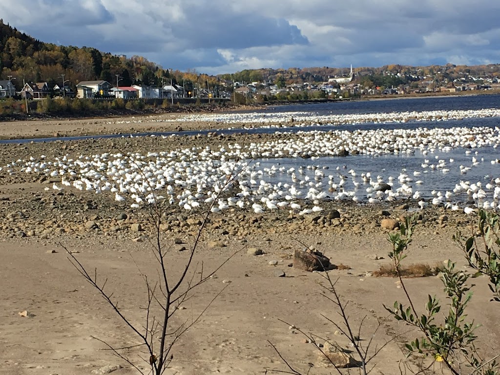 Auberge Presbytère St-Alexis | 5 Bd de la Grande-Baie-Sud #3289, La Baie, QC G7B 1G1, Canada | Phone: (418) 557-6665
