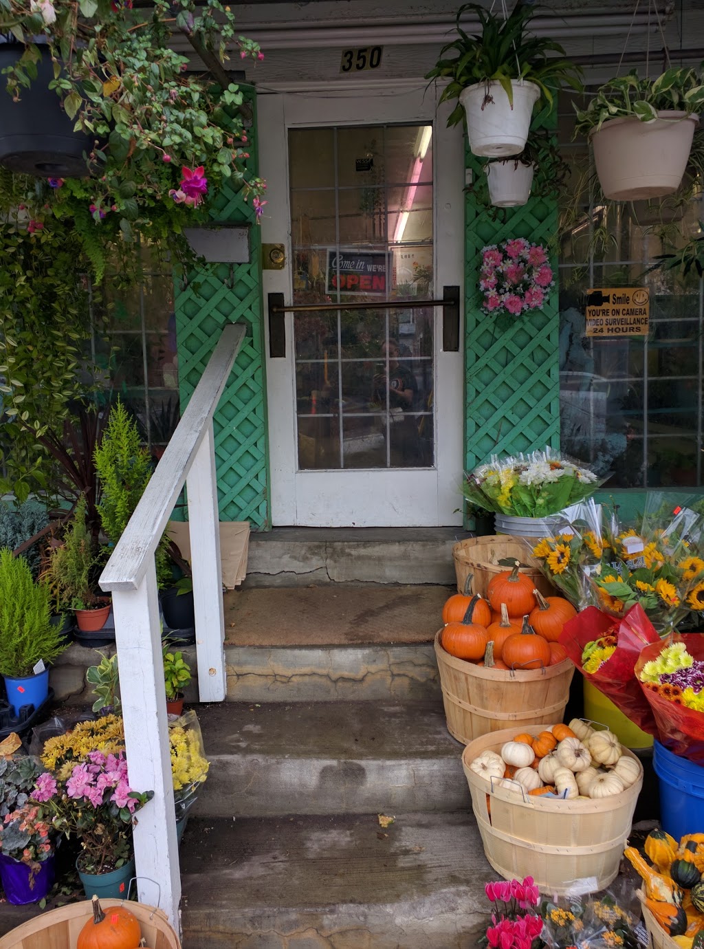 Green Mountain Market | 350 Coxwell Ave, Toronto, ON M4L 3B6, Canada | Phone: (416) 465-2528