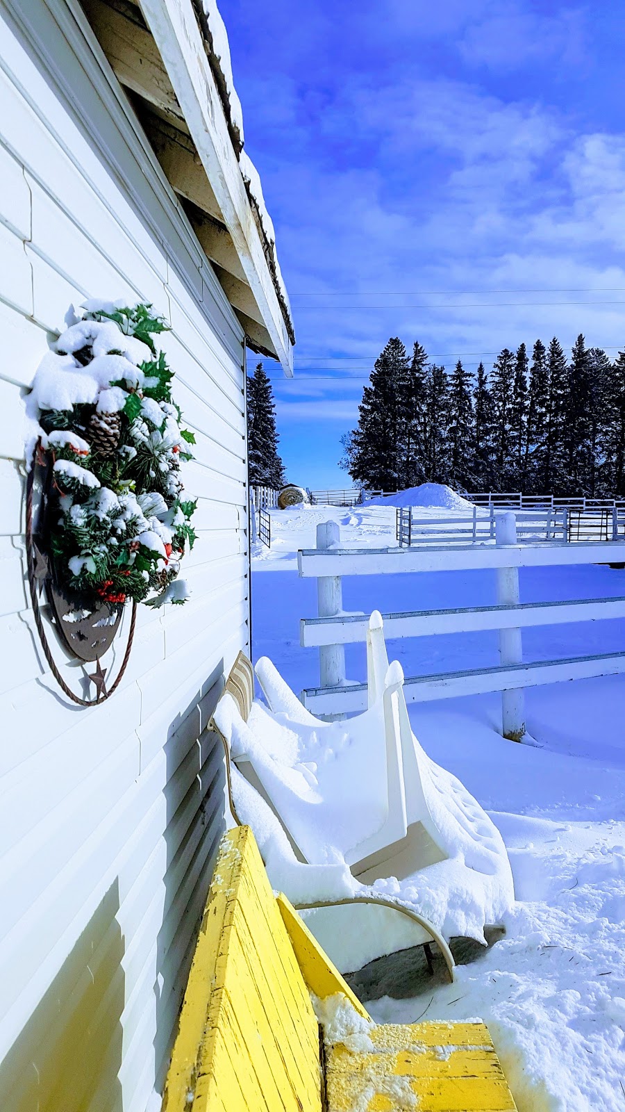 KELJDO STABLES | 7215 34 St SW, Edmonton, AB T6X 2R9, Canada | Phone: (780) 238-1955