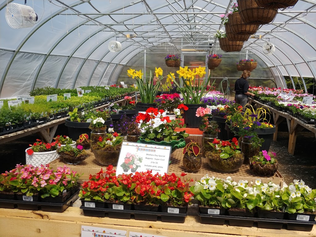 Ashtons Garden Centre | 125 Upper River John Rd, Tatamagouche, NS B0K 1V0, Canada | Phone: (902) 324-3429