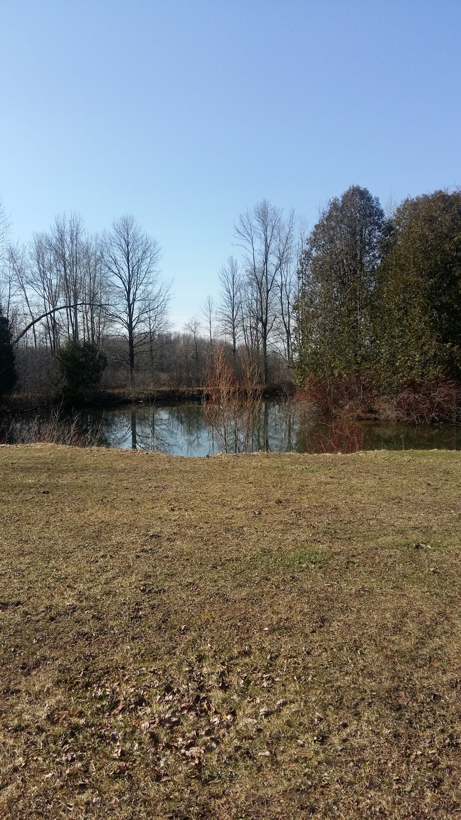 Family Paradise Seasonal Resort Community | 43835 Hullett McKillop Rd, Walton, ON N0K 1Z0, Canada | Phone: (519) 527-0629