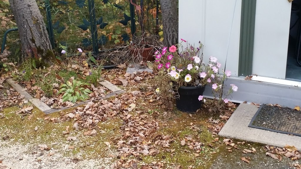 Great Woods | 73033 Rd 43E, Beausejour, MB R0E 0C0, Canada | Phone: (204) 268-2814