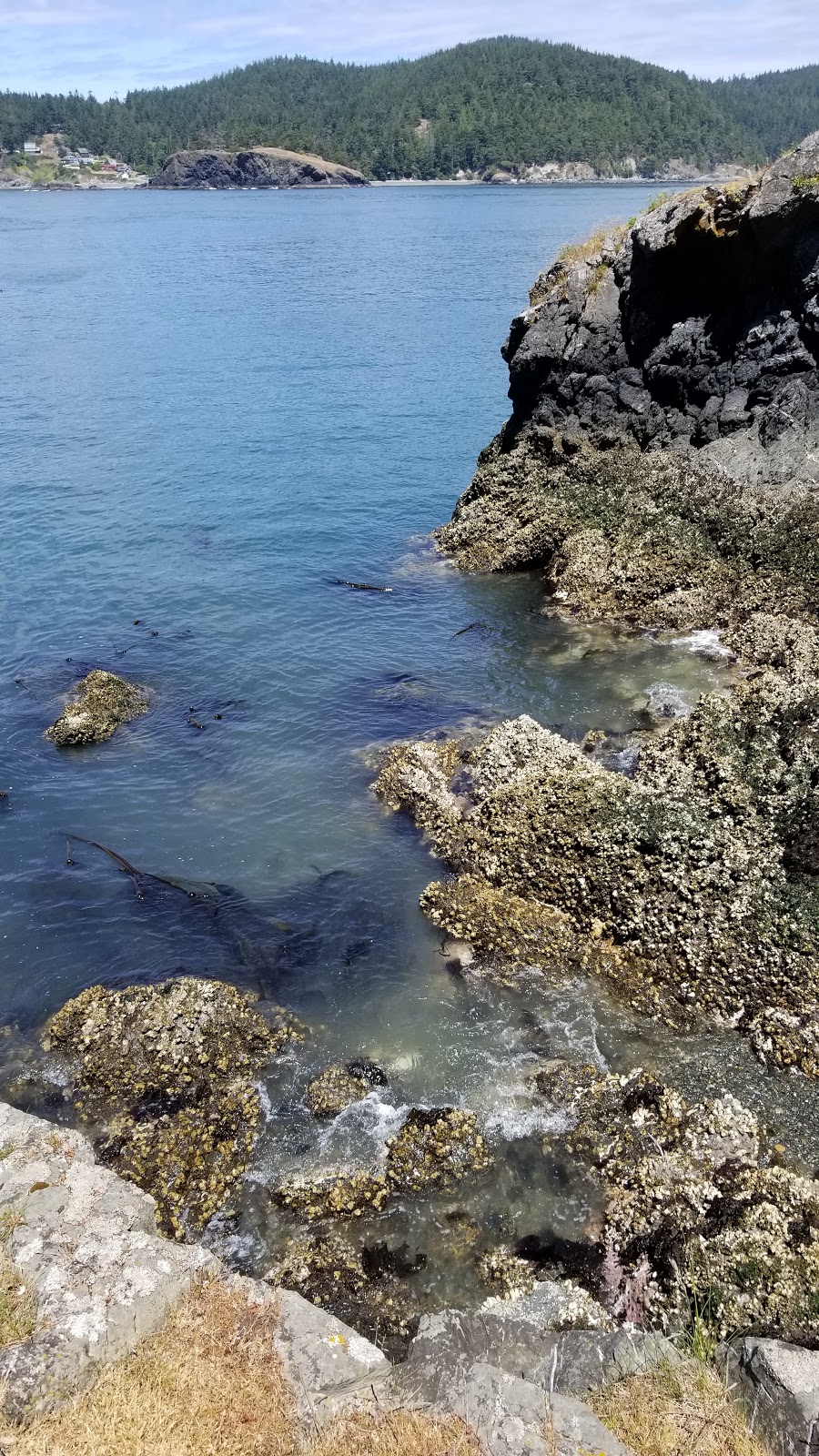 Deception Island State Park | Oak Harbor, WA 98277, USA
