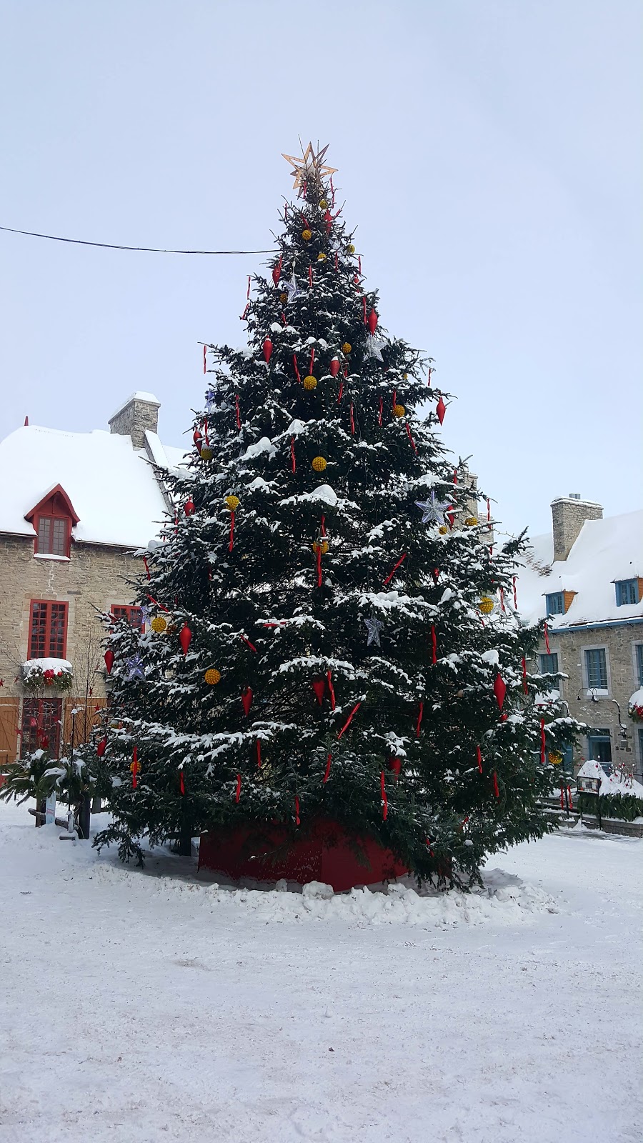 Galerie Place Royale | 1 Place Royale, Québec, QC G1K 4G3, Canada | Phone: (418) 692-6446