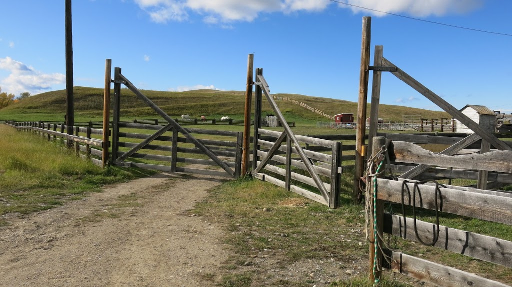 Bar U Ranch National Historic Site | Township Rd 17B and, Township Rd 17A, Longview, AB T0L 1H0, Canada | Phone: (403) 395-3044