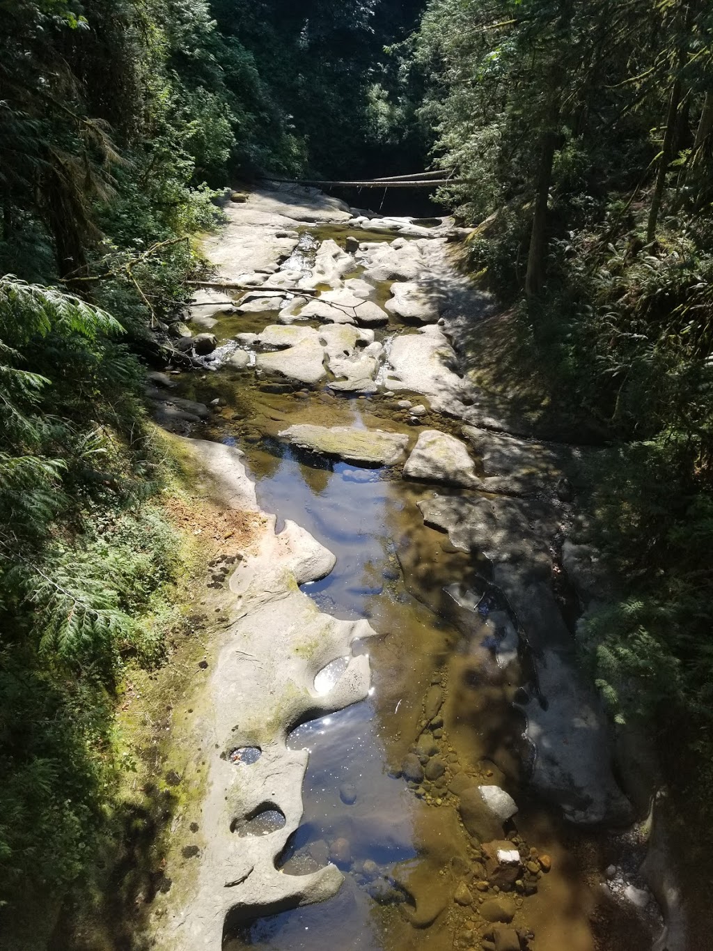 Kanaka Creek Watershed Stewardship Center and BellIrving Hatche, 11450 256 St, Maple Ridge, BC Kanaka Creek Watershed Stewardship Center and BellIrving Hatche, 11450 256 St, Maple Ridge, BC