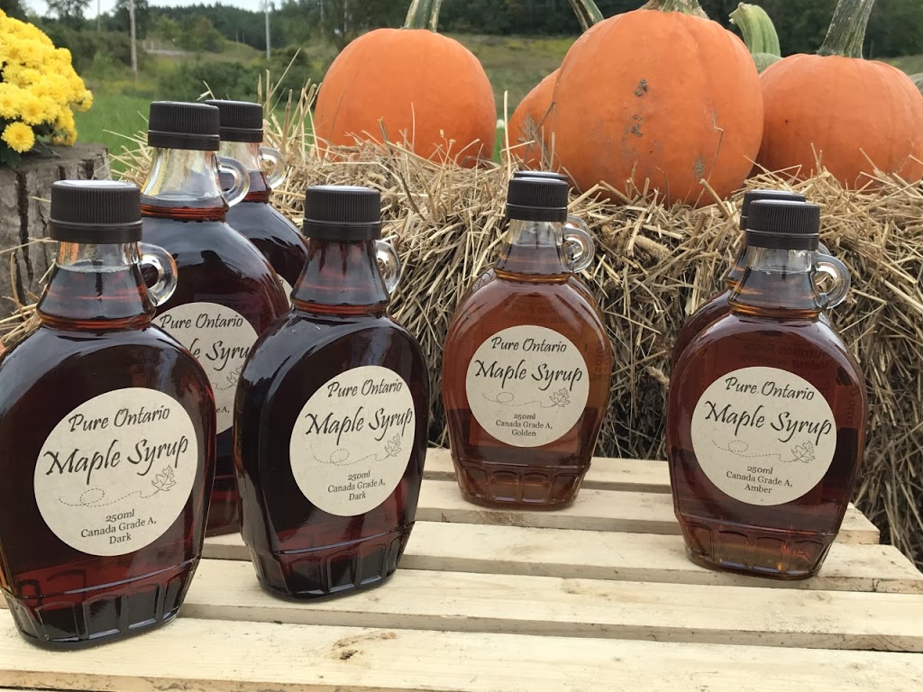 Buzzing Bees Adventure Farm | 1070 Concession Rd 5, Sunderland, ON L0C 1H0, Canada | Phone: (905) 409-4626