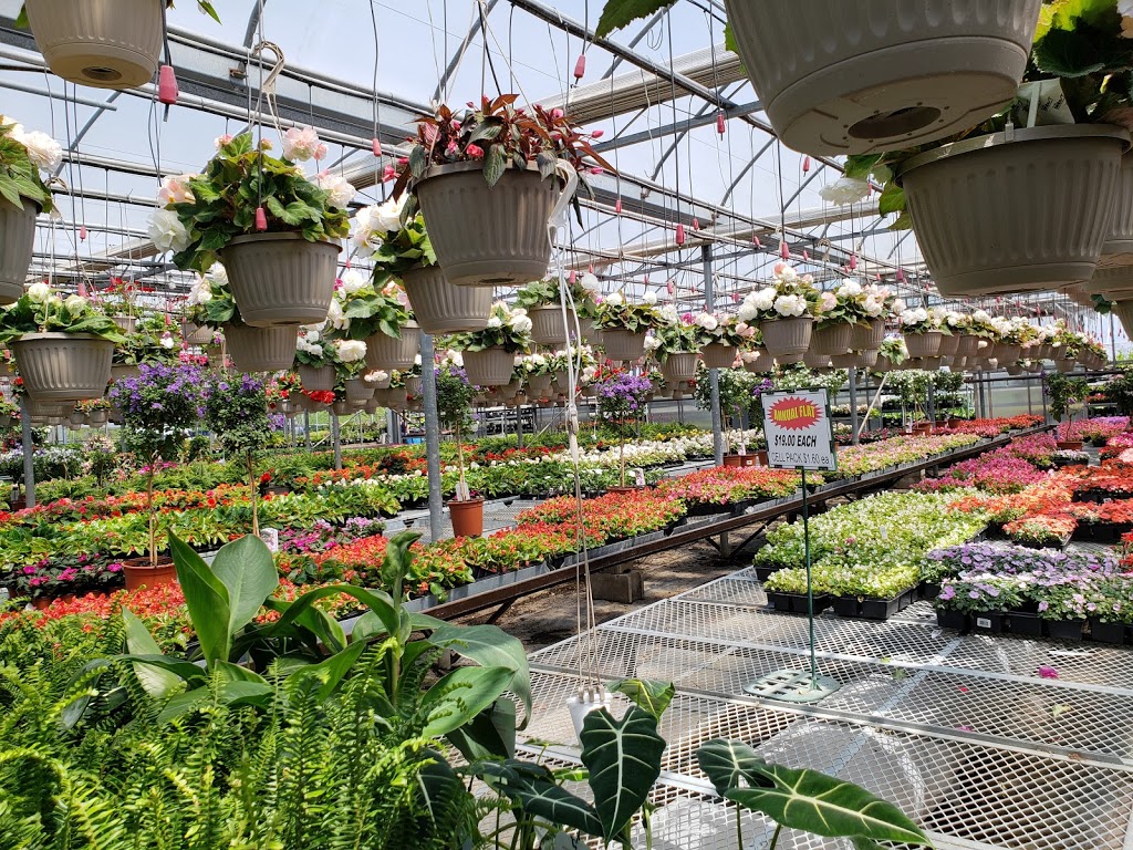 Tree Valley Garden Centre | 4431 Stouffville Rd, Whitchurch-Stouffville, ON L4A 7X5, Canada | Phone: (905) 640-2020