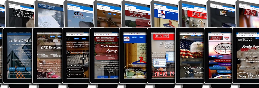 Pro Star Media Website Design and Hosting | 224 Wellington St N, Woodstock, ON N4S 6R9, Canada | Phone: (256) 550-1988