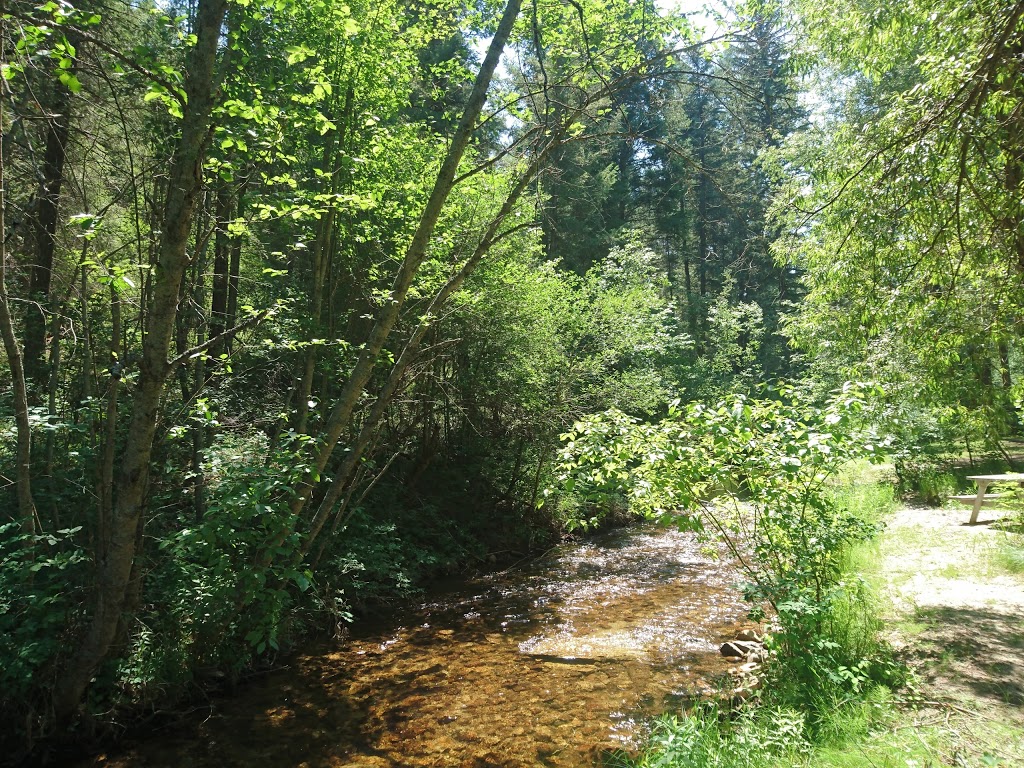 Beaverdell RV Park & Campgrounds | 5880 Kelowna-Rock Creek Hwy #33, Beaverdell, BC V0H 1A0, Canada | Phone: (877) 399-4341