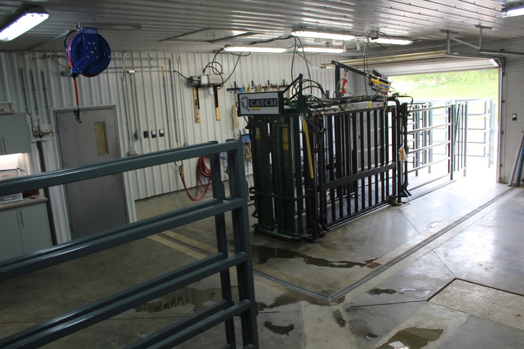 Gull Lake Veterinary Services | Lacombe County, AB T4L 2N3, Canada | Phone: (403) 782-0354