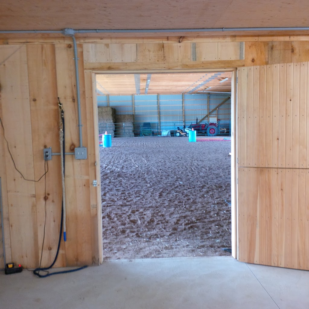 Leading Edge Equine Academy | 515588 11 Line, Woodstock, ON N4S 7V7, Canada | Phone: (226) 749-4830