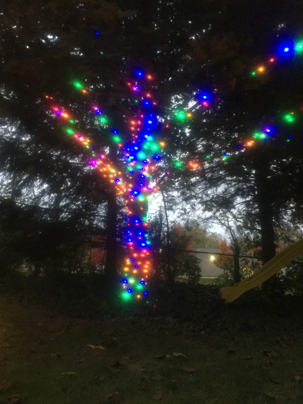 Christmas Decor Brantford | 19 Church St W, Scotland, ON N0E 1R0, Canada | Phone: (519) 756-1283