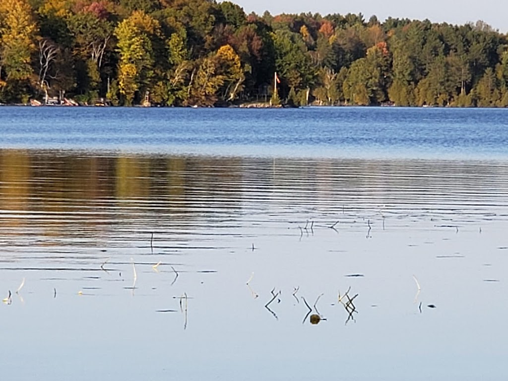 Sunflower Lakehouse | 1015 Sunflower Ln, Arden, ON K0H 1B0, Canada | Phone: (613) 200-7967