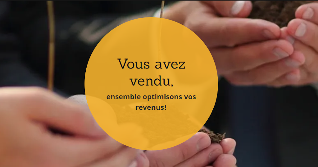 Services Liquido | 113 Rue Soucy, Québec, QC G1B 1N3, Canada | Phone: (418) 667-6929