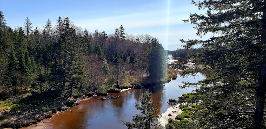 Confederation Trail, Brudenell | Cardigan, PE C0A 1G0, Canada | Phone: (989) 737-3709