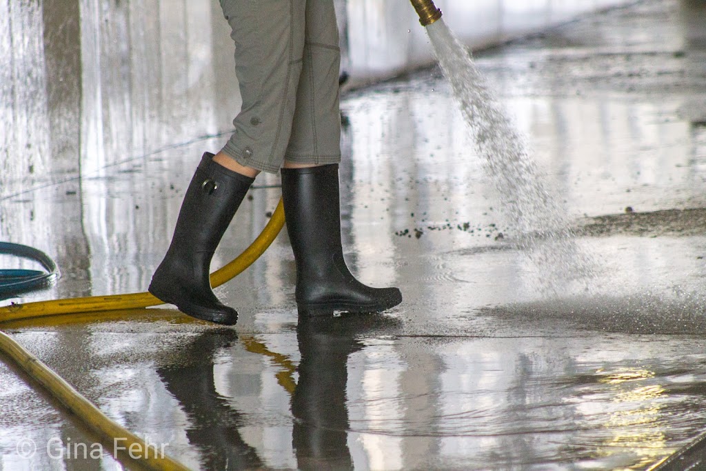 Rubber Duck Car & Truck Wash | 5906 52 Ave, Taber, AB T1G 1W8, Canada | Phone: (403) 223-3752