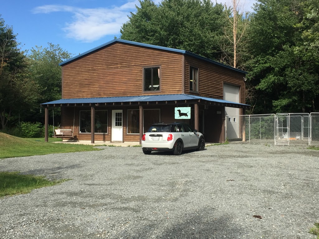 Centre Canin Des Cantons (Le) | 17 Rue Dupuis, Granby, QC J2H 1Y2, Canada | Phone: (450) 777-1819