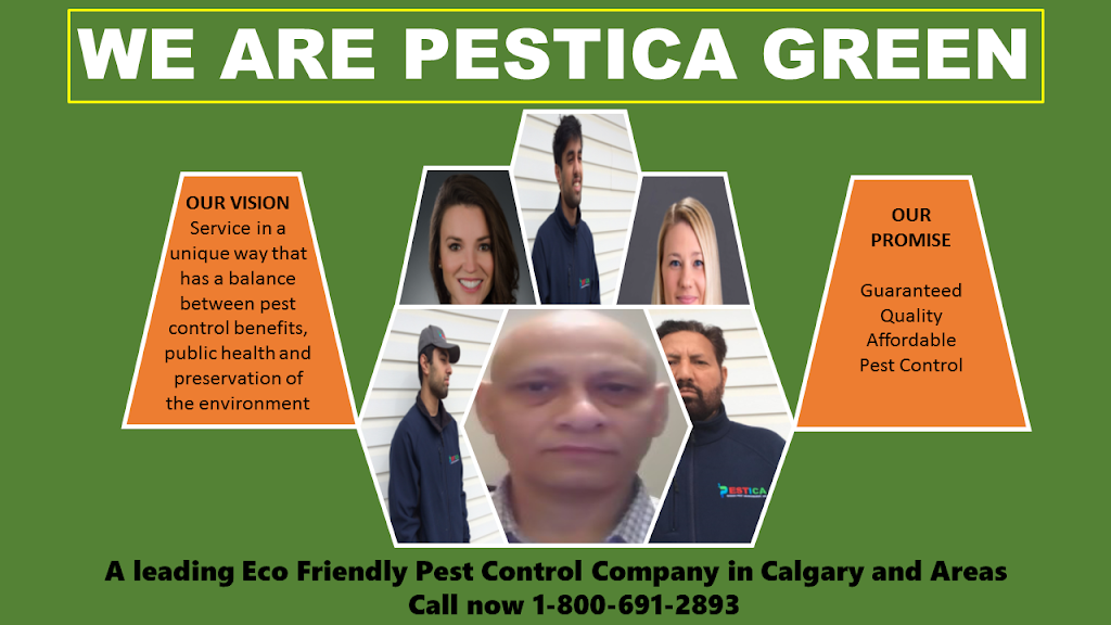 Pestica Green Pest Control | 12790 Coventry Hills Way NE, Calgary, AB T3K 5E2, Canada | Phone: (800) 691-2893