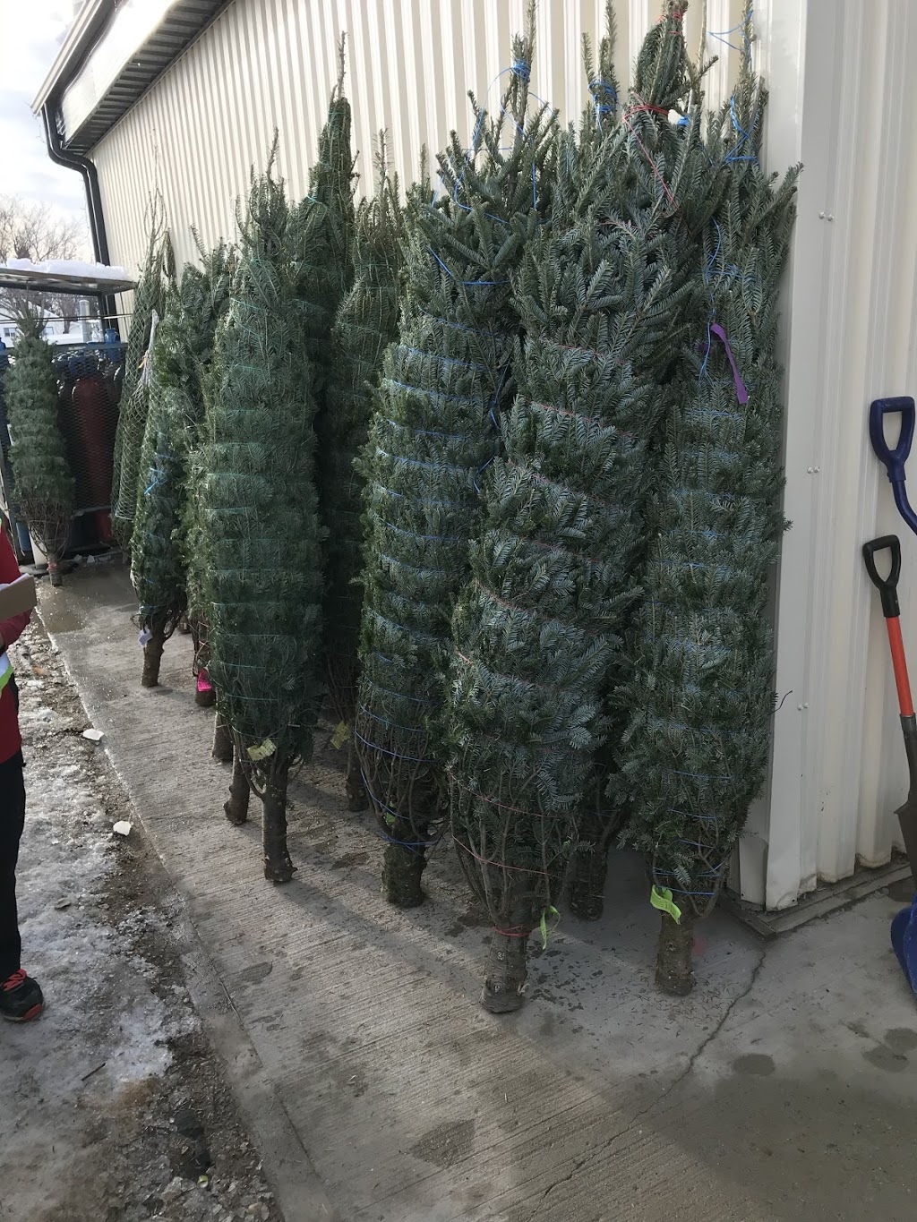 Lake Country Co-op Lumber Centre @ Wakaw | 204 1 St S, Wakaw, SK S0K 4P0, Canada | Phone: (306) 233-4202