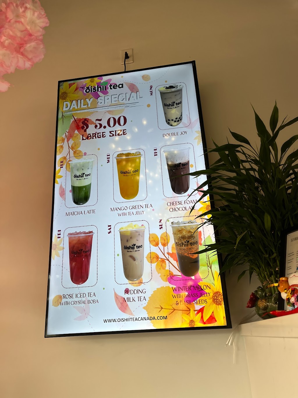 Oishii Tea | 110 Pertosa Dr #5, Brampton, ON L6X 5E9, Canada | Phone: (905) 450-9967