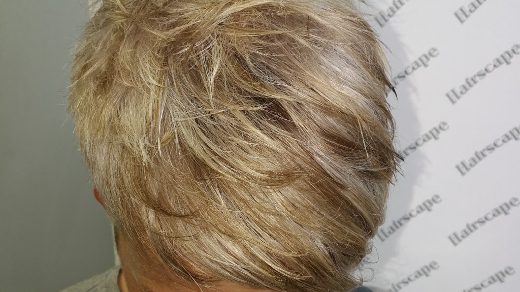 Hairscape | 130 Bell Farm Rd, Barrie, ON L4M 6J4, Canada | Phone: (705) 734-0111