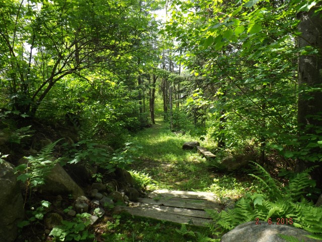 Les Boisés Mon Toit | 431 Chem. du Mont Catherine, Sainte-Agathe-des-Monts, QC J8C 3T8, Canada | Phone: (819) 321-5574